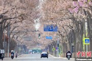 丽水共建“花园城市” 北京这场议政会“百花齐放”