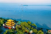 丽水人这一辈子，一定要去岳阳过次端午！