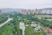 丽水西宁市举办六五环境日主题宣传活动
